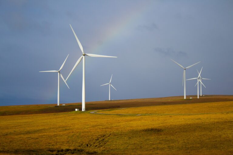 Petition zu den Rahmenbedingungen für die Errichtung von Windkraftanlagen im Land Brandenburg.