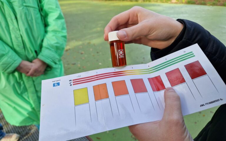 Wasserqualität der Notte weiter im kritischen Zustand: Bündnisgrüne LDS stellen Sechs-Punkte-Papier vor
